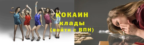 прущие грибы Балахна