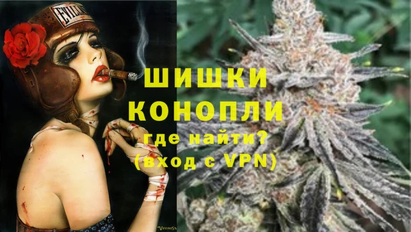 прущие грибы Балахна