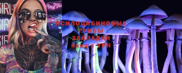 прущие грибы Балахна
