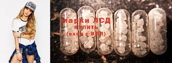 прущие грибы Балахна