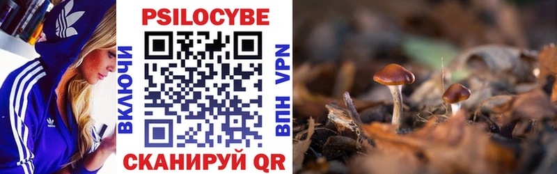 Псилоцибиновые грибы ЛСД  Заволжье 